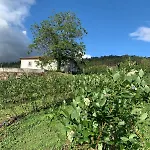 Holiday home Casa De Rompecias *