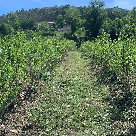 Casa de Férias Casa De Rompecias *