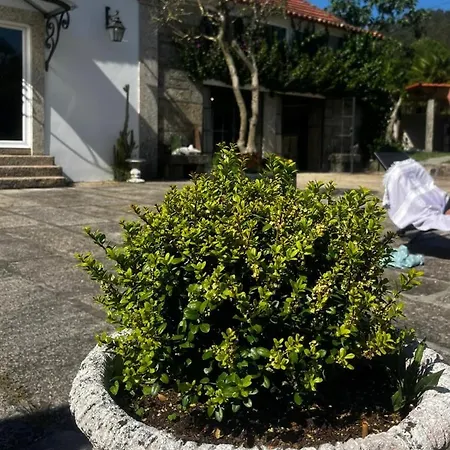 Casa De Rompecias