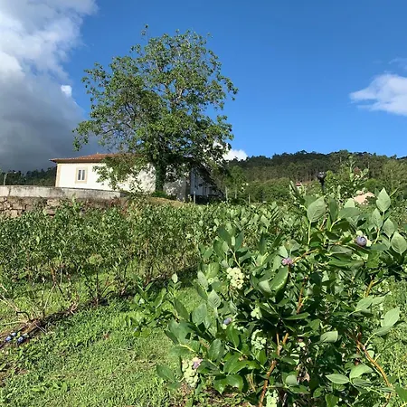 Casa de Férias Casa De Rompecias *