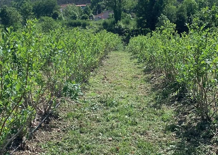 Semesterbostad Casa De Rompecias *