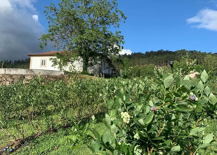 Semesterbostad Casa De Rompecias *